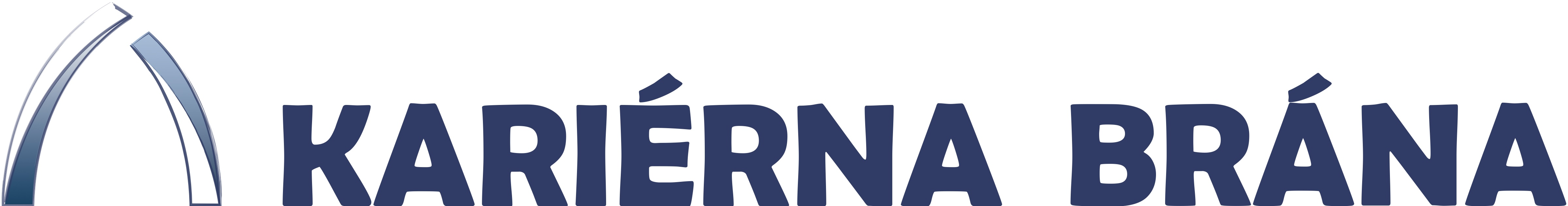 Logo NSP a NSK
