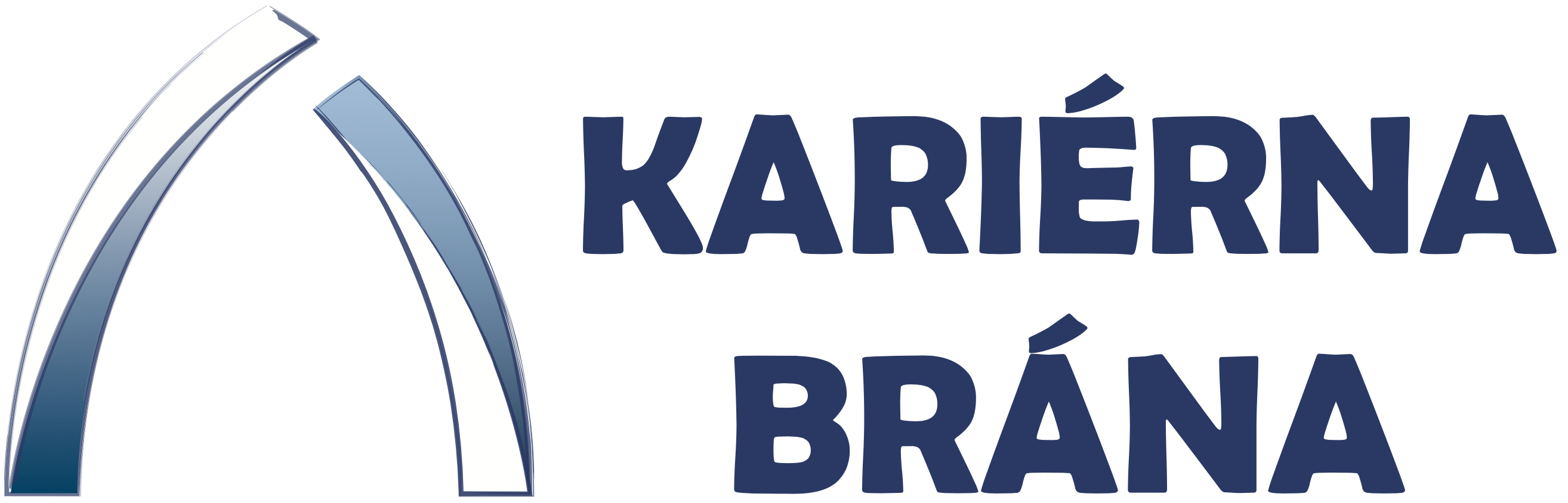Logo NSP a NSK